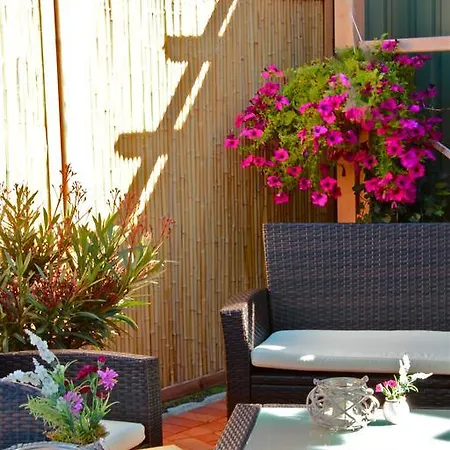 Thode Hotel Dahme (Schleswig-Holstein)